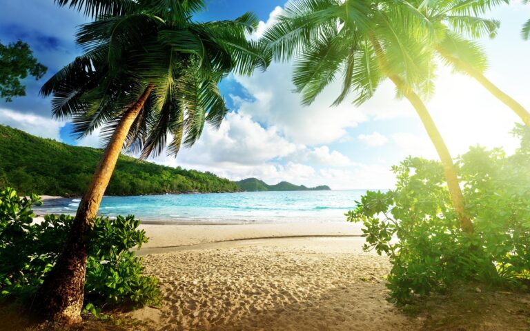 La llegada del verano