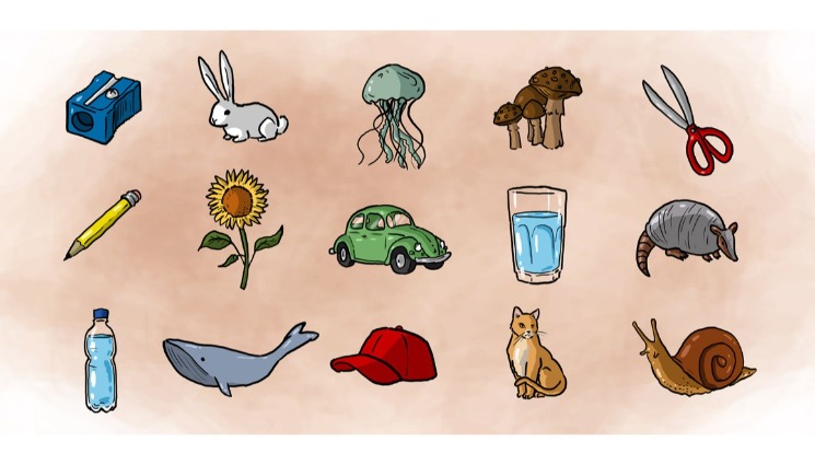 cosas que hacer un casino