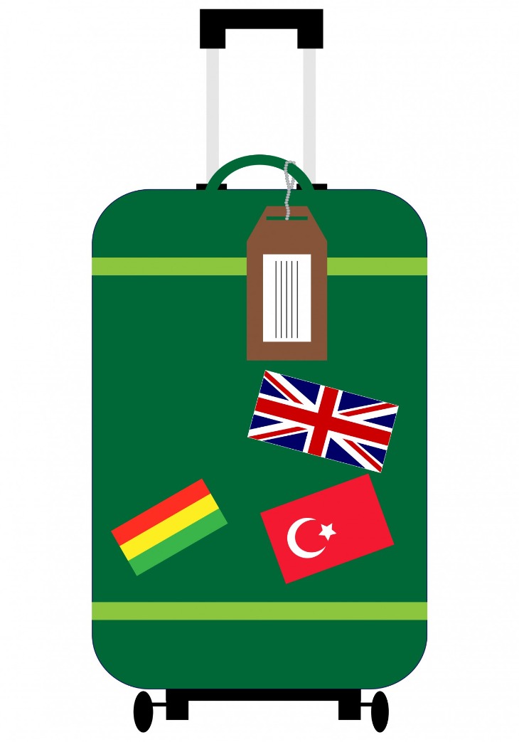 montar casino online